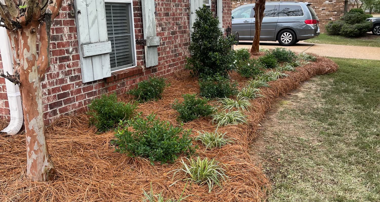 Superscapes landscaping