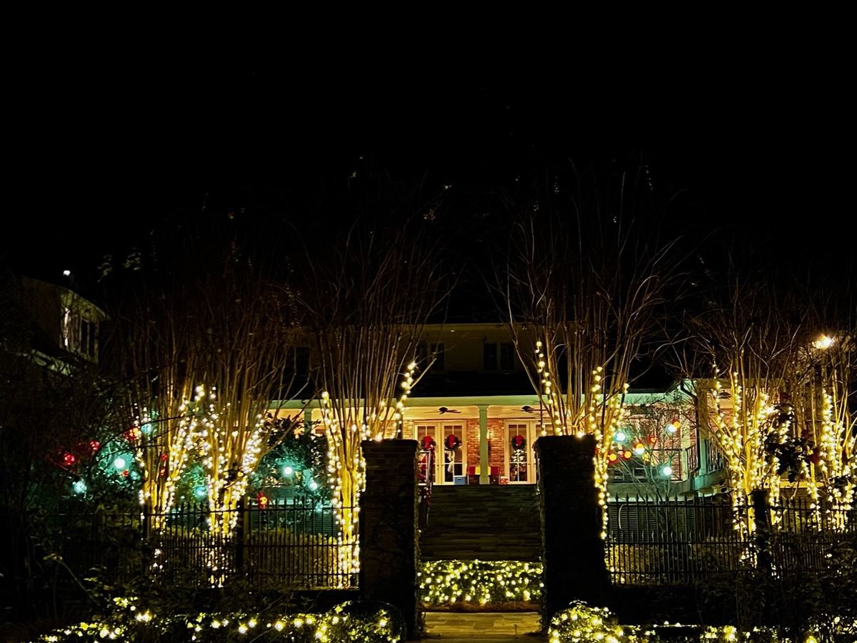 Superscapes courtyard Christmas lighting with light-wrapped trees