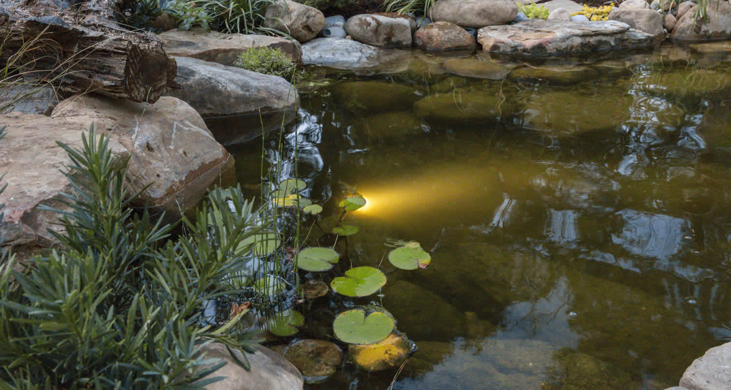A Superscapes backyard water feature at dusk